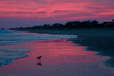 Pink Beach
